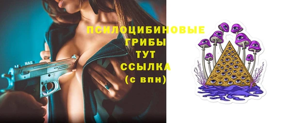винт Армянск