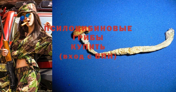 винт Армянск