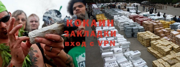 каннабис Аркадак