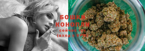 каннабис Аркадак