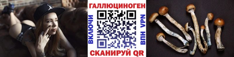 OMG как войти  Лаишево  Галлюциногенные грибы Psilocybe 